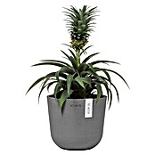 Ecopots Oslo Pflanztopf Mini (Außenmaß (Ø x H): 16 x 14 cm, Kunststoff, Grau) | BAUHAUS