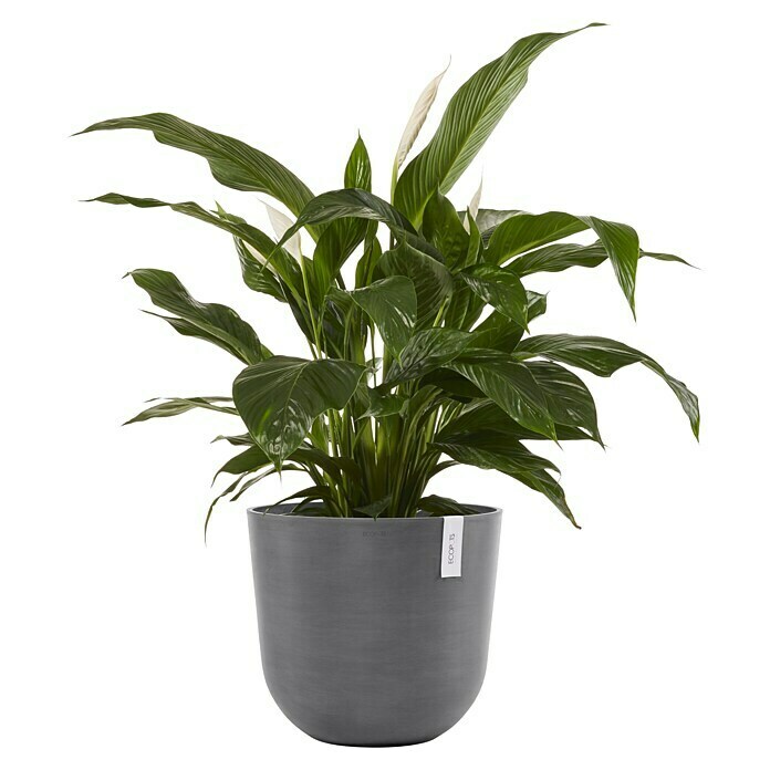 Ecopots Oslo Pflanztopf mit Wasserspeicher (Außenmaß (Ø x H): 45 x 39,2 cm, Kunststoff, Grau) | BAUHAUS