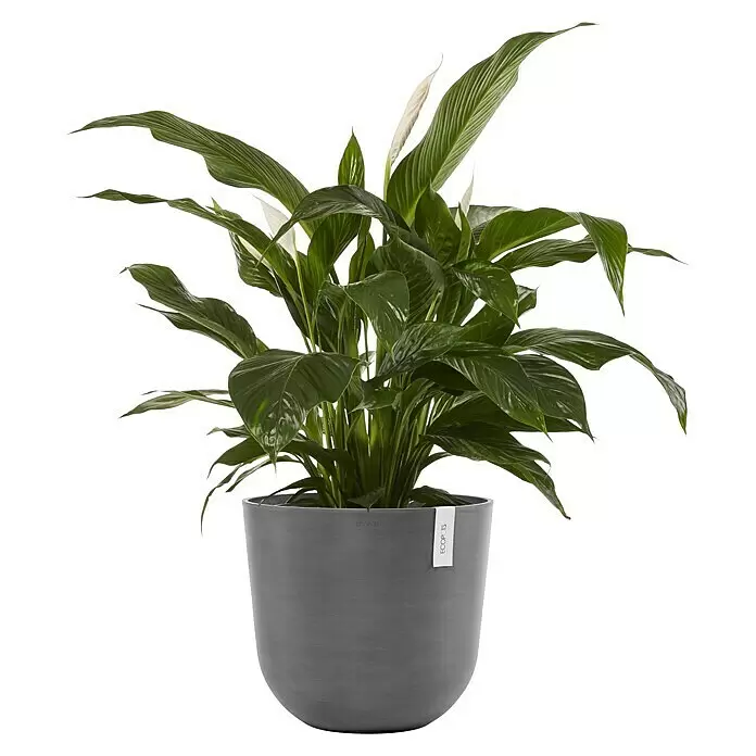 blumenkasten anthrazit hoch Spaliere und Pflanzkästen, Rattan, Anthrazit (frei kombinierbar)