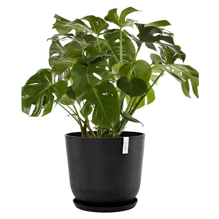 Ecopots Oslo Pflanztopf mit Wasserspeicher (Außenmaß (Ø x H): 55 x 48,5 cm, Kunststoff, Dunkelgrau) | BAUHAUS