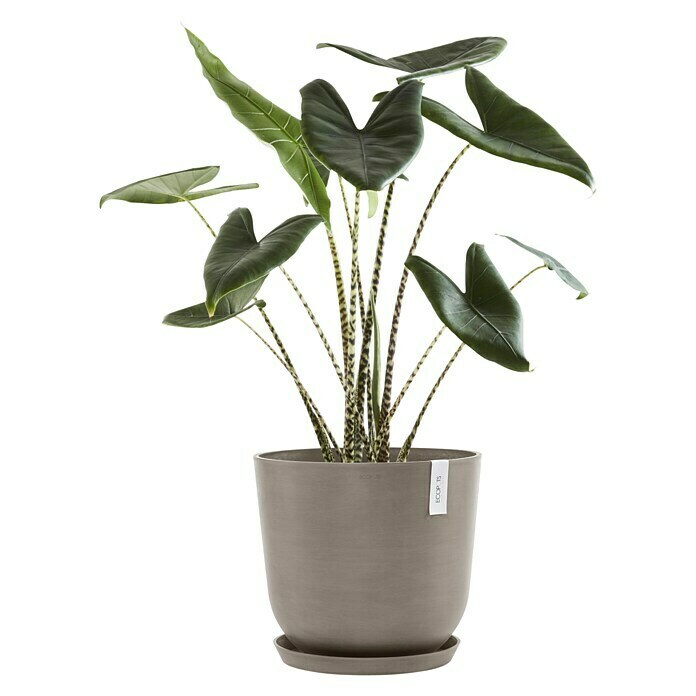 Ecopots Oslo Pflanztopf mit Wasserspeicher (Außenmaß (Ø x H): 45 x 39,2 cm, Kunststoff, Braungrau) | BAUHAUS