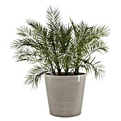 Ecopots Amsterdam Pflanzkübel rund Wheels (Außenmaß (Ø x H): 100,2 x 88,7 cm, Kunststoff, Braungrau, Ausstattung Pflanzgefäß: Rollen) | BAUHAUS