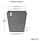 Ecopots Rotterdam Pflanzkasten mit Rollen (Außenmaß (L x B x H): 50 x 50 x 49,7 cm, Kunststoff, Grau) | BAUHAUS