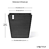 Ecopots Rotterdam Pflanzkasten mit Rollen (Außenmaß (L x B x H): 50 x 50 x 49,7 cm, Kunststoff, Dunkelgrau) | BAUHAUS