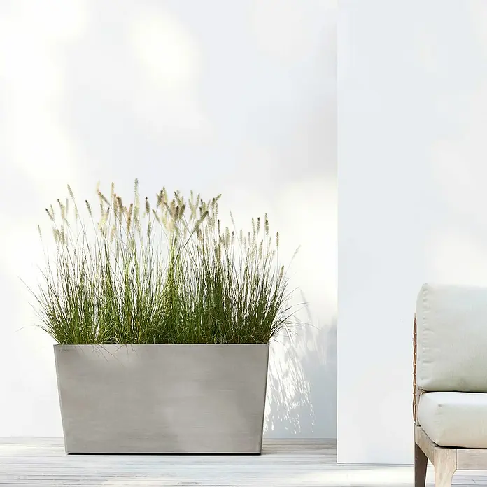 Ecopots Pflanzkasten Paris - Außenmaß (L x B x H): 100,5 x 39,6 x 51,8 cm, Kunststoff, Braungrau, Ausstattung Pflanzgefäß: Rollen - Eine moderne Pflanzbox aus Metall mit hohem Ziergras, perfekt für den stilvollen Außenbereich.