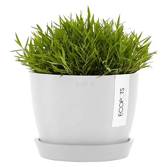Ecopots Pflanztopf Stockholm - Außenmaß (Ø x H): 16,2 x 12 cm, Kunststoff, Weiß - Weißer ECOPOTS Pflanztopf mit saftig grünem Gras und passendem Untersetzer.