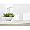 Ecopots Brussels Pflanzschale rund (Außenmaß (Ø x H): 25 x 12 cm, Kunststoff, Weiß) | BAUHAUS