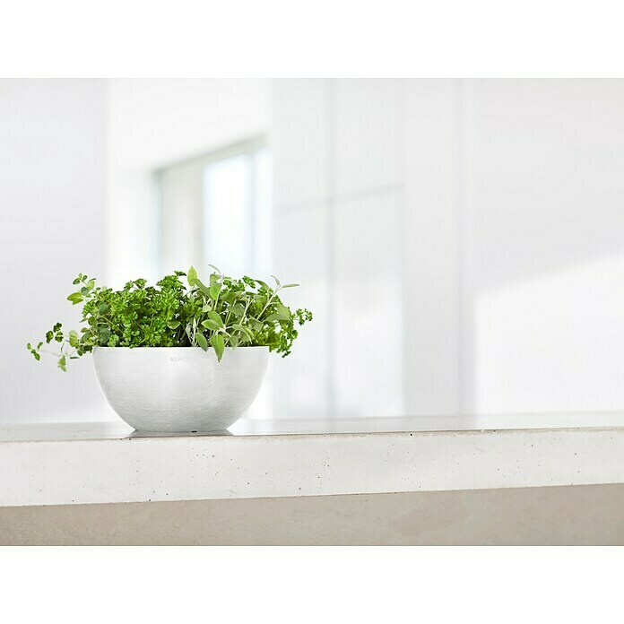 Ecopots Brussels Pflanzschale rund (Außenmaß (Ø x H): 25 x 12 cm, Kunststoff, Weiß) | BAUHAUS