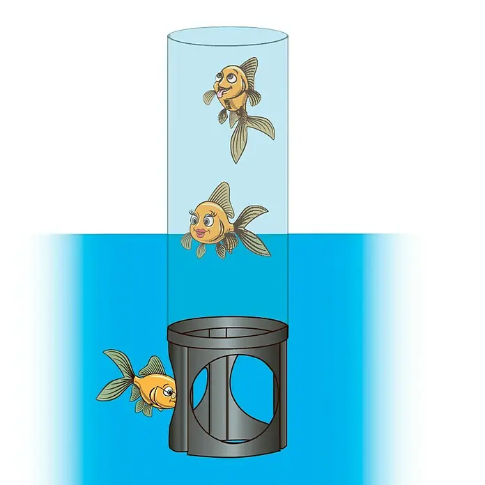 Ubbink Fischsäule 50Ø x H: 20 x 70 cm - Illustration von Fischen in einem Zylinder, mit Fokus auf das Zusammenspiel von Cartoon-Fischen und der Behälterstruktur.