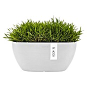 Ecopots Sofia Pflanzschale Oval (L x B x H: 30 x 13 x 13,5 cm, Weiß) | BAUHAUS