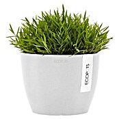 Ecopots Pflanztopf Stockholm (Außenmaß (Ø x H): 16 x 12,5 cm, Kunststoff, Weiß) | BAUHAUS