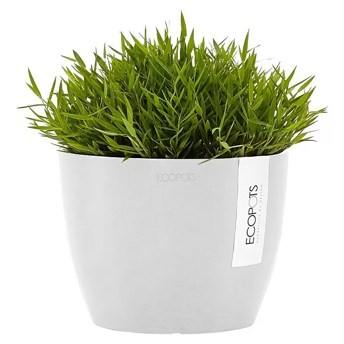 Ecopots Pflanztopf Stockholm - Außenmaß (Ø x H): 16,2 x 12 cm, Kunststoff, Weiß - Weißer ECOPOTS Pflanztopf mit leuchtend grünem Gras, mit geprägtem Logo und vertikalem Etikett „ECOPOTS DURABILITY BY DESIGN“.