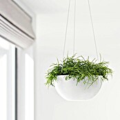 Ecopots Brussels Blumenampel Brussel (Kunststoff, Weiß) | BAUHAUS