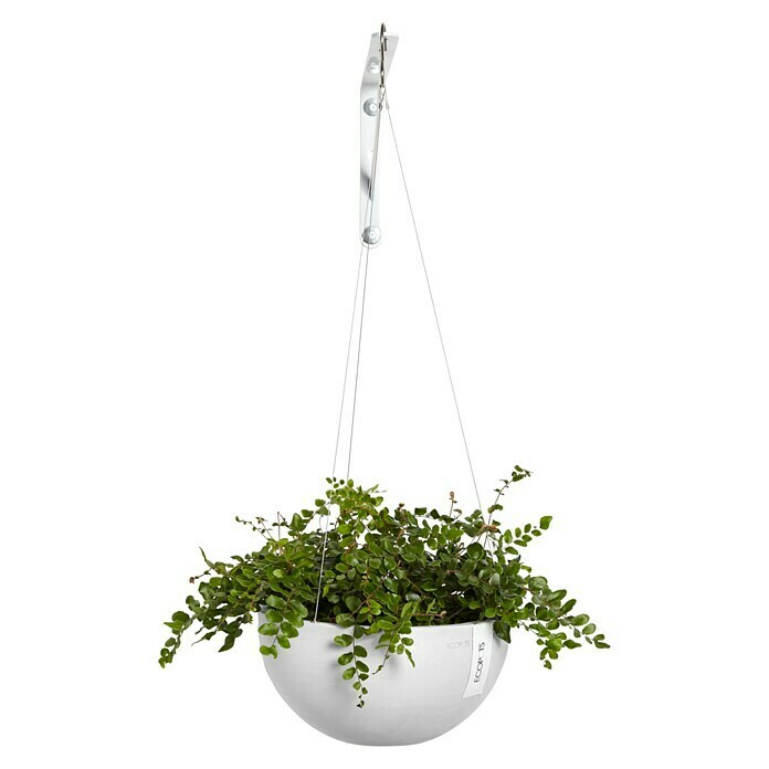 Ecopots Brussels Blumenampel Brussel (Kunststoff, Weiß) | BAUHAUS