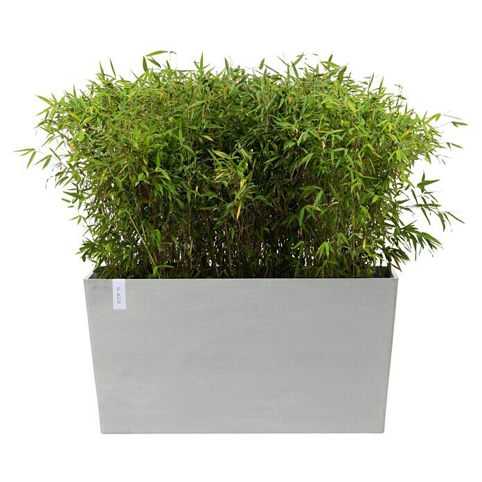 Ecopots Pflanzkasten Paris (Außenmaß (L x B x H): 100 x 40 x 50 cm, Kunststoff, Weißgrau, Ausstattung Pflanzgefäß: Rollen) | BAUHAUS