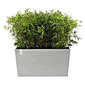 Ecopots Pflanzkasten Paris (Außenmaß (L x B x H): 100 x 40 x 50 cm, Kunststoff, Weißgrau, Ausstattung Pflanzgefäß: Rollen) | BAUHAUS