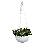 Ecopots Brussels Blumenampel Brussel (Kunststoff, Weiß) | BAUHAUS