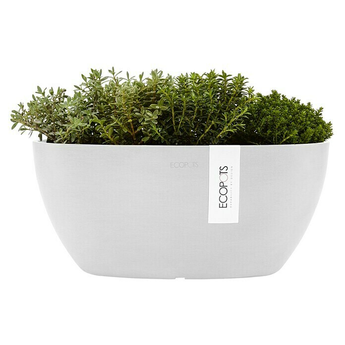 Ecopots Sofia Pflanzschale Oval (L x B x H: 30 x 13 x 13,5 cm, Weiß) | BAUHAUS