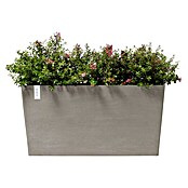 Ecopots Pflanzkasten Paris (Außenmaß (L x B x H): 100 x 40 x 50 cm, Kunststoff, Braungrau, Ausstattung Pflanzgefäß: Rollen) | BAUHAUS