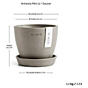 Ecopots Pflanztopf Antwerpen Mini (Außenmaß (Ø x H): 11,5 x 10,1 cm, Kunststoff, Braungrau) | BAUHAUS