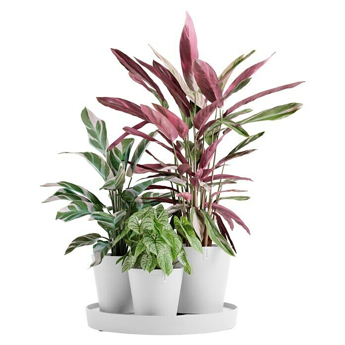 Ecopots Pflanztopf Dubai (Außenmaß (Ø x H): 56,6 x 30 cm, Kunststoff, Weiß, 3 Stk.) | BAUHAUS