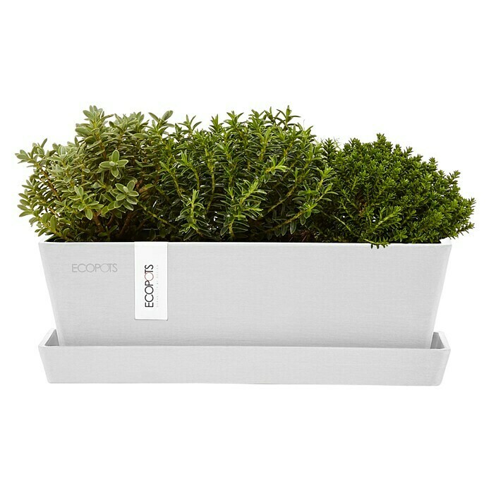 Ecopots Bruges Pflanzkasten Mini mit Untersetzer (Außenmaß (L x B x H): 25 x 9 x 8,4 cm, Kunststoff, Weiß) | BAUHAUS