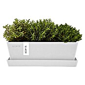 Ecopots Bruges Pflanzkasten Mini mit Untersetzer (Außenmaß (L x B x H): 25 x 9 x 8,4 cm, Kunststoff, Weiß) | BAUHAUS