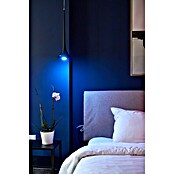 Shelly Smart-LED-Lampe Duo - RGBW GU10 (GU10, Dimmbar, Warmweiß, 400 lm, 5 W) | BAUHAUS