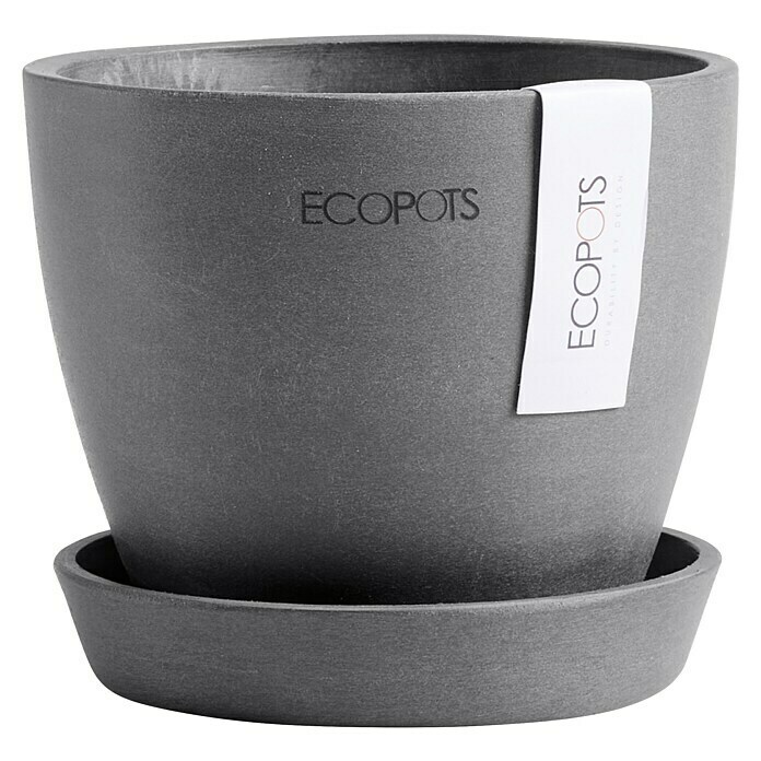 Ecopots Pflanztopf Antwerpen Mini (Außenmaß (Ø x H): 11,5 x 10,1 cm, Kunststoff, Grau) | BAUHAUS