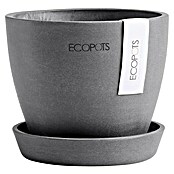 Ecopots Pflanztopf Antwerpen Mini (Außenmaß (Ø x H): 11,5 x 10,1 cm, Kunststoff, Grau) | BAUHAUS