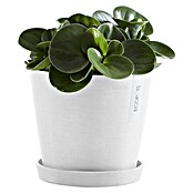 Ecopots Amsterdam Pflanzkübel rund (Außenmaß (Ø x H): 20 x 17,2 cm, Kunststoff, Weiß, Mit Bewässerungssystem) | BAUHAUS