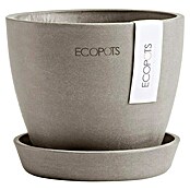 Ecopots Pflanztopf Antwerpen Mini (Außenmaß (Ø x H): 11,5 x 10,1 cm, Kunststoff, Braungrau) | BAUHAUS