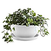 Ecopots Brussels Pflanzschale rund (Außenmaß (Ø x H): 35 x 16,7 cm, Kunststoff, Weiß) | BAUHAUS