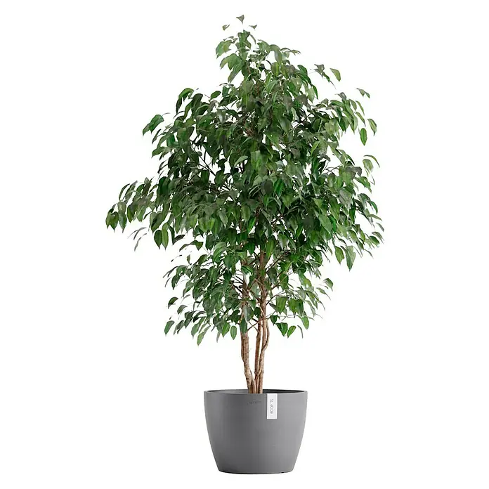Ecopots Pflanztopf Stockholm