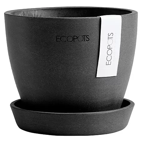 Ecopots  Pflanztopf Antwerpen Mini