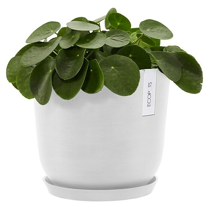 Ecopots Oslo Pflanztopf mit Wasserspeicher (Außenmaß (Ø x H): 25 x 21,4 cm, Kunststoff, Weiß) | BAUHAUS