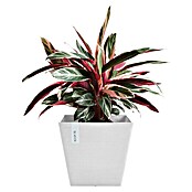 Ecopots Rotterdam Pflanzkasten (Außenmaß (L x B x H): 29,5 x 29,5 x 26,4 cm, Kunststoff, Weiß) | BAUHAUS