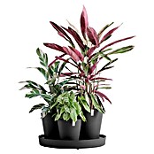 Ecopots Pflanztopf Dubai (Außenmaß (Ø x H): 56,6 x 30 cm, Kunststoff, Dunkelgrau, 3 Stk.) | BAUHAUS