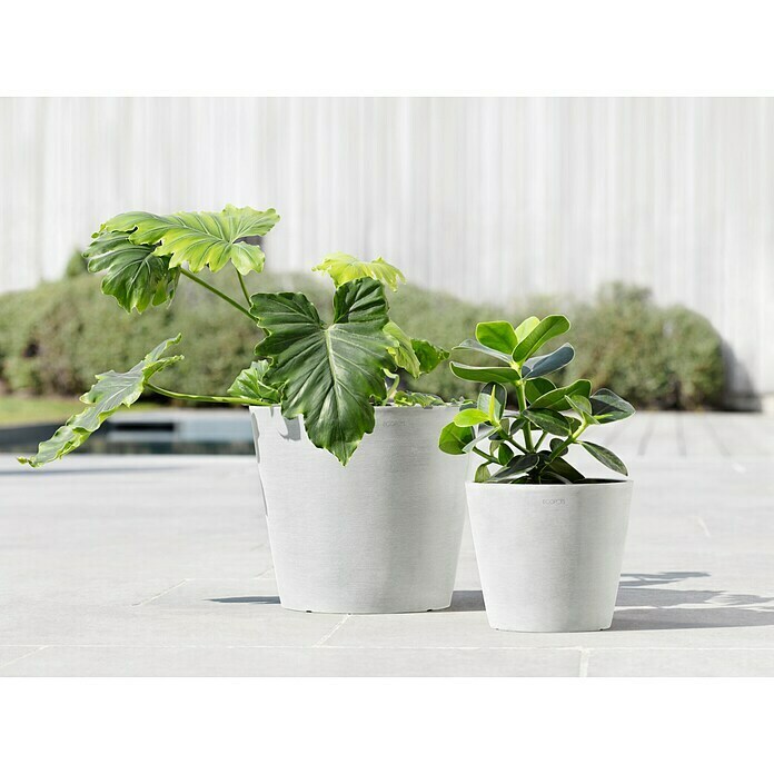 Ecopots Amsterdam Pflanztopf Amsterdam (Außenmaß (Ø x H): 20 x 17,1 cm, Kunststoff, Weiß) | BAUHAUS