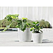 Ecopots Amsterdam Pflanztopf Amsterdam (Außenmaß (Ø x H): 20 x 17,1 cm, Kunststoff, Weiß) | BAUHAUS