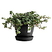 Ecopots Pflanztopf Antwerpen Mini (Außenmaß (Ø x H): 11,5 x 10,1 cm, Kunststoff, Dunkelgrau) | BAUHAUS