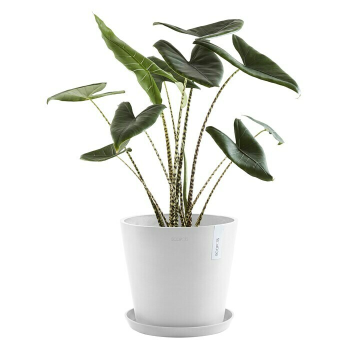 Ecopots Amsterdam Pflanzkübel rund (Außenmaß (Ø x H): 30 x 25,9 cm, Kunststoff, Weiß, Mit Bewässerungssystem) | BAUHAUS