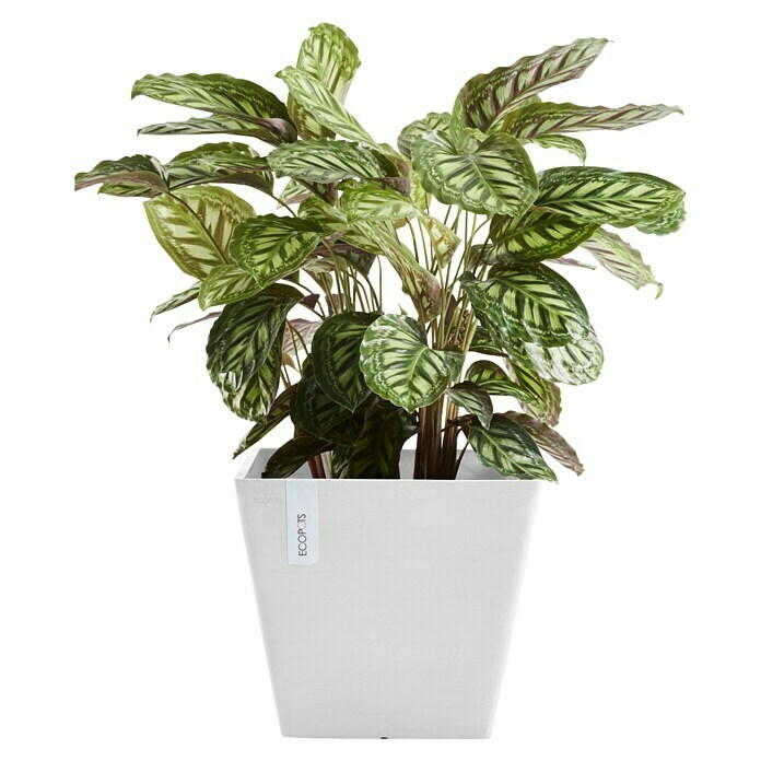 Ecopots Rotterdam Pflanzkasten (Außenmaß (L x B x H): 29,5 x 29,5 x 26,4 cm, Kunststoff, Weiß) | BAUHAUS