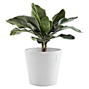 Ecopots Amsterdam Pflanztopf Amsterdam (Außenmaß (Ø x H): 40 x 34,5 cm, Kunststoff, Weiß) | BAUHAUS