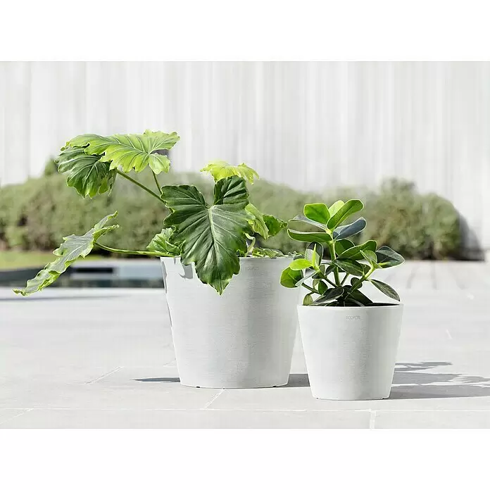 Ecopots Amsterdam Pflanzkübel rund - Außenmaß (Ø x H): 30 x 25,9 cm, Kunststoff, Weiß, Mit Bewässerungssystem - Zwei hellgraue Pflanzgefäße, ein großes und ein kleines, mit grünen Pflanzen im Freien.