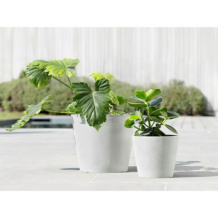 Ecopots Amsterdam Pflanzkübel rund (Außenmaß (Ø x H): 20 x 17,2 cm, Kunststoff, Weiß, Mit Bewässerungssystem) | BAUHAUS