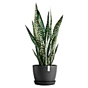 Ecopots Pflanztopf Stockholm (Außenmaß (Ø x H): 23,2 x 17,6 cm, Kunststoff, Dunkelgrau) | BAUHAUS