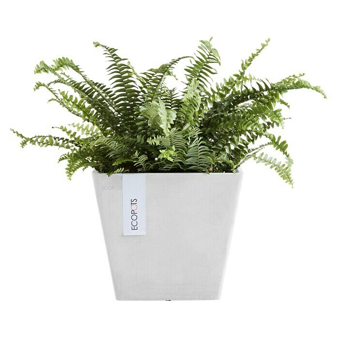 Ecopots Rotterdam Pflanzkasten (Außenmaß (L x B x H): 20,3 x 20,3 x 17,8 cm, Kunststoff, Weiß) | BAUHAUS