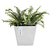 Ecopots Rotterdam Pflanzkasten (Außenmaß (L x B x H): 20,3 x 20,3 x 17,8 cm, Kunststoff, Weiß) | BAUHAUS