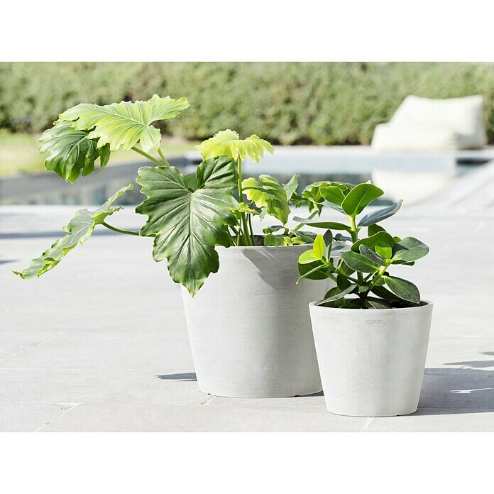 Ecopots Amsterdam Pflanztopf (Außenmaß (Ø x H): 30 x 26 cm, Kunststoff, Weiß) | BAUHAUS